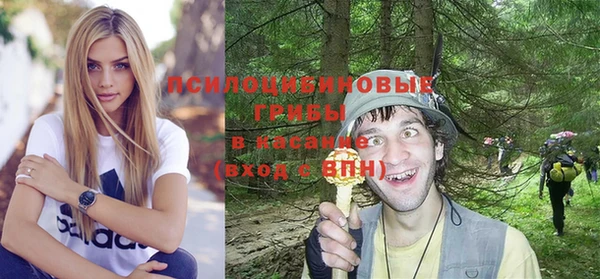 jwh Саяногорск