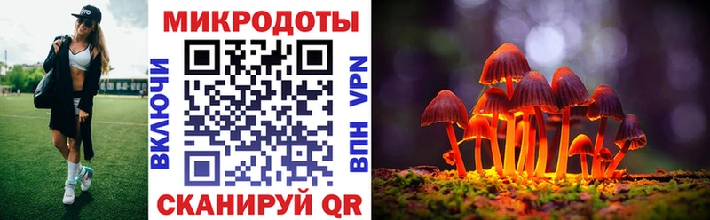 мега   Асино  Псилоцибиновые грибы ЛСД  даркнет сайт 