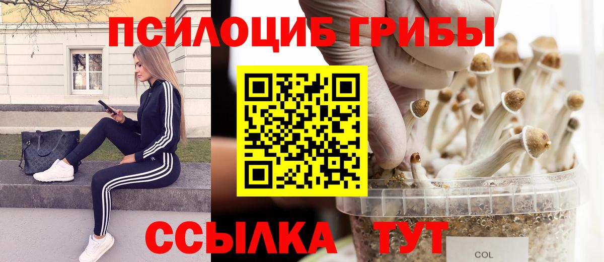 Галлюциногенные грибы мухоморы  Вход с VPN  Асино  Псилоцибиновые грибы ЛСД 
