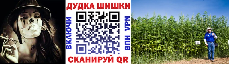 Бошки марихуана VHQ Асино